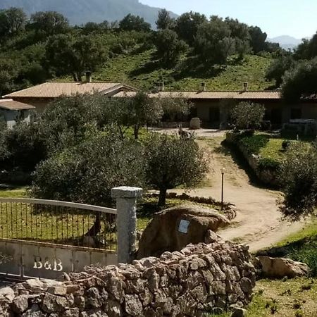 אוליאנה B&B Sa Mendula מראה חיצוני תמונה