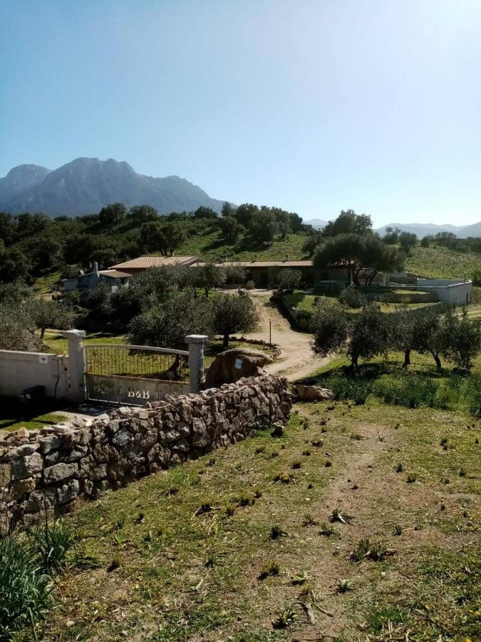 אוליאנה B&B Sa Mendula מראה חיצוני תמונה