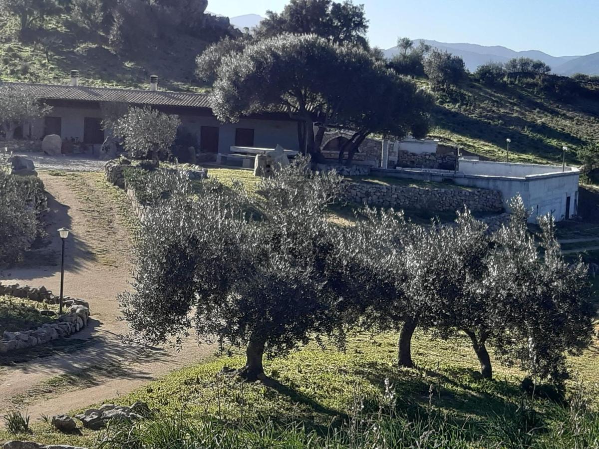 אוליאנה B&B Sa Mendula מראה חיצוני תמונה