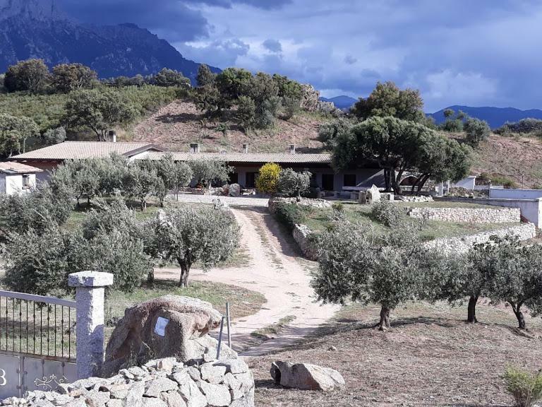 אוליאנה B&B Sa Mendula מראה חיצוני תמונה
